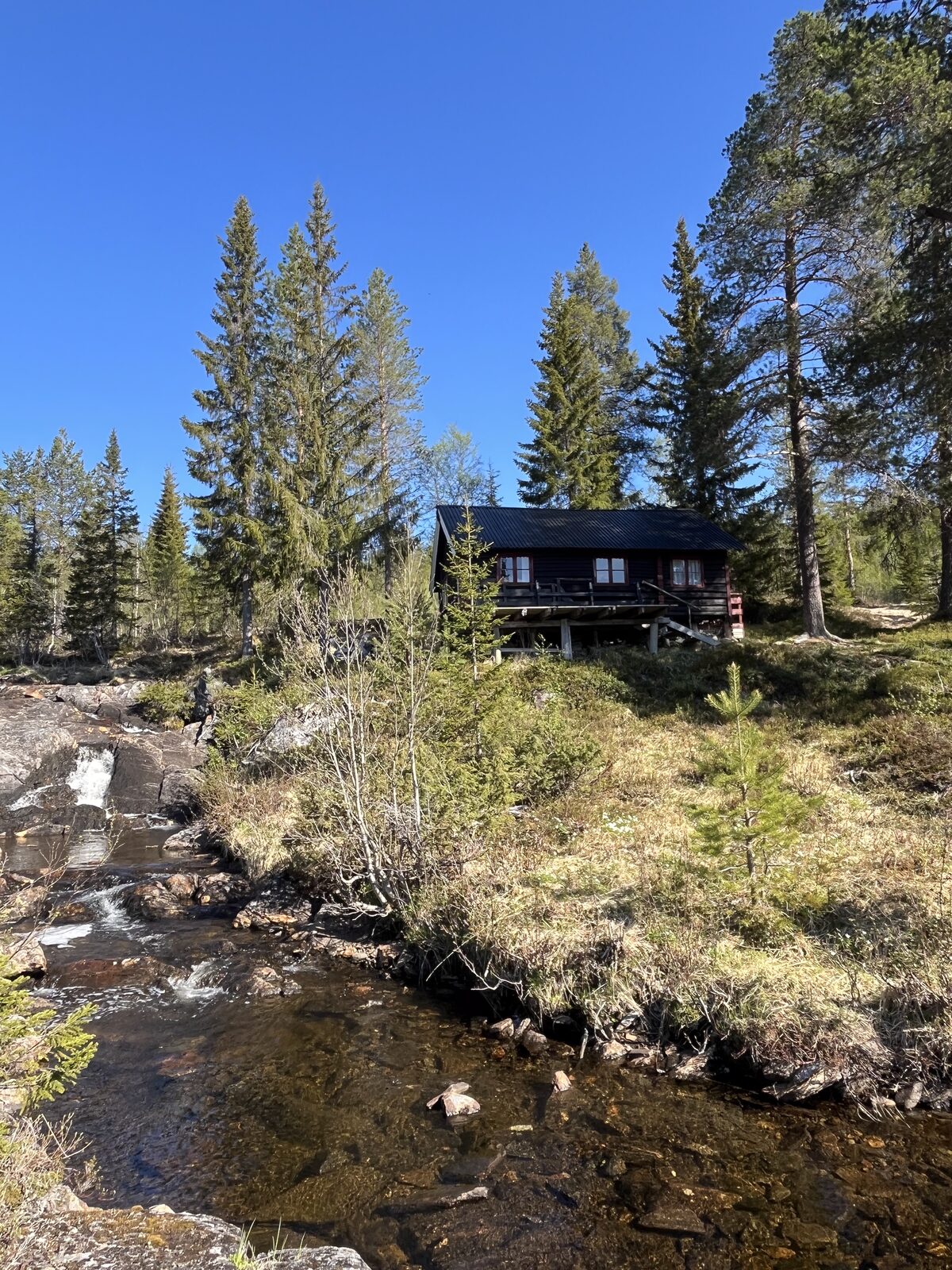 Gåsebu