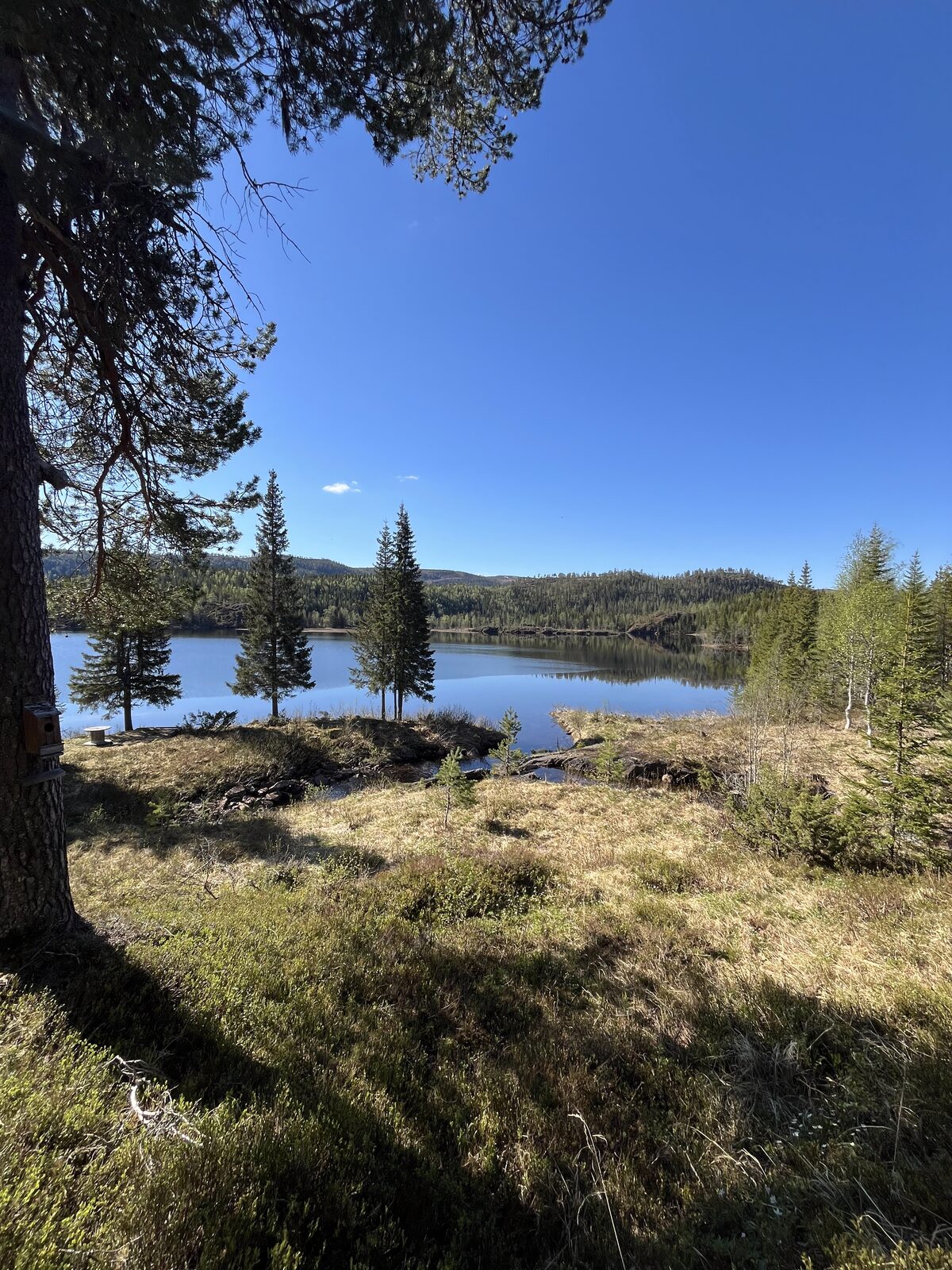 Gåsebu 8